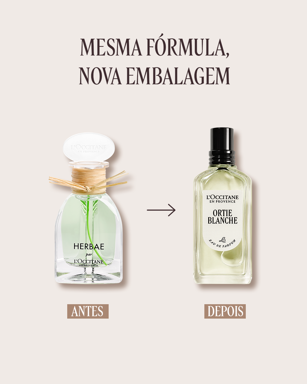 Eau de Parfum Ortie Blanche 50mL (Herbae) | L'Occitane en Provence